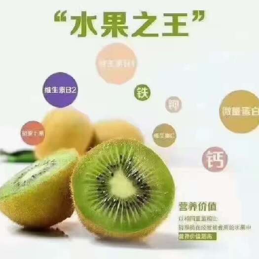 正宗修文猕猴桃