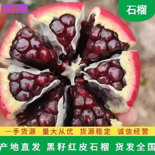 会理市会理天使红，黑籽红皮超软籽甜石榴，一件代发，量大从优
