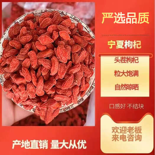 中宁县宁夏中宁好爽不结块新货枸杞贡果大果源头厂家一手货源