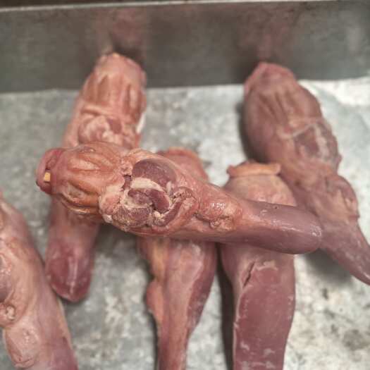 昆明精品猪舌 猪口条 新鲜预煮
