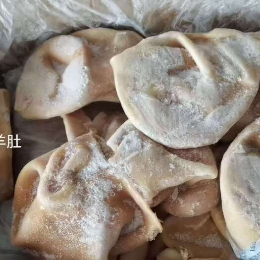 郑州羊肚，180厂号，出秤高