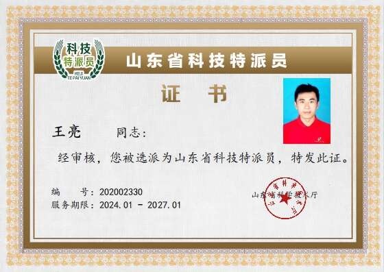 昌乐县山东红芽姜 嫩姜鲜姜 10 年老店品质如一 潍姜种业 潍形像