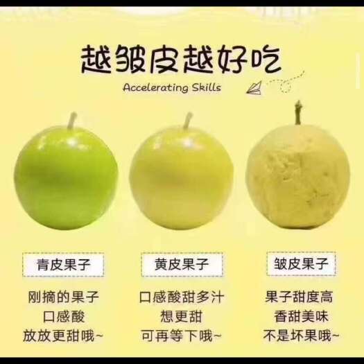 武平县黄金果钦蜜九号纯甜