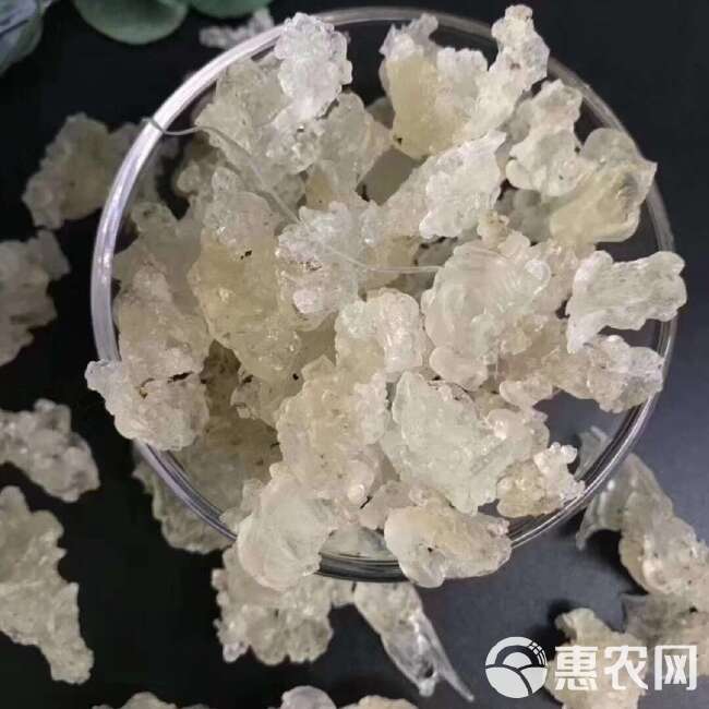 雪燕/精选好货/批发兼零售，量大可商议，全国包邮