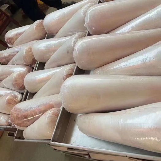 阳信县纯干牛舌