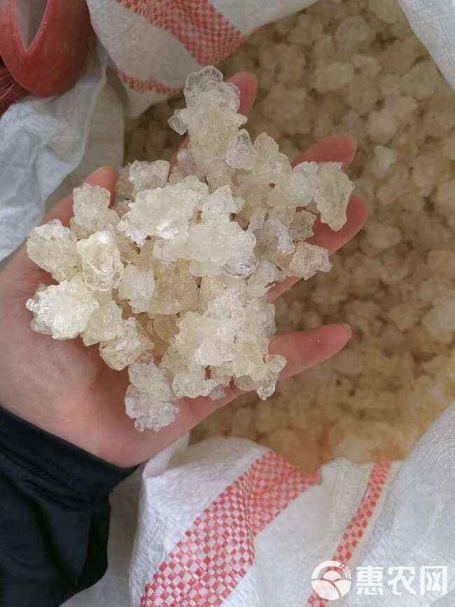 雪燕/精选好货/批发兼零售，量大可商议，全国包邮