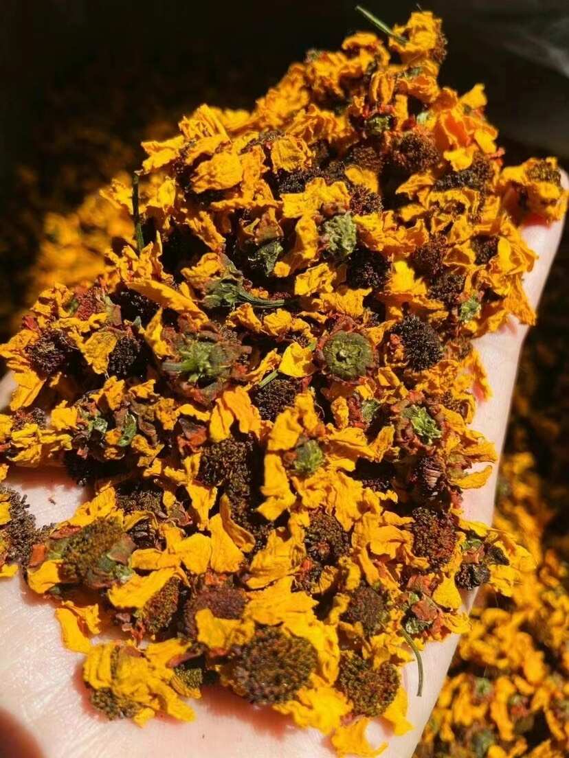 新疆雪菊 干菊花茶高海拔 产地批发