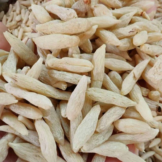 昆明麦冬 川麦冬 麦冬干货大货批发