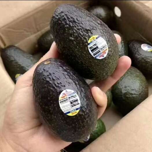 巢湖【现货速发】墨西哥牛油果新鲜当季大果水果宝宝辅食鳄梨整箱包邮