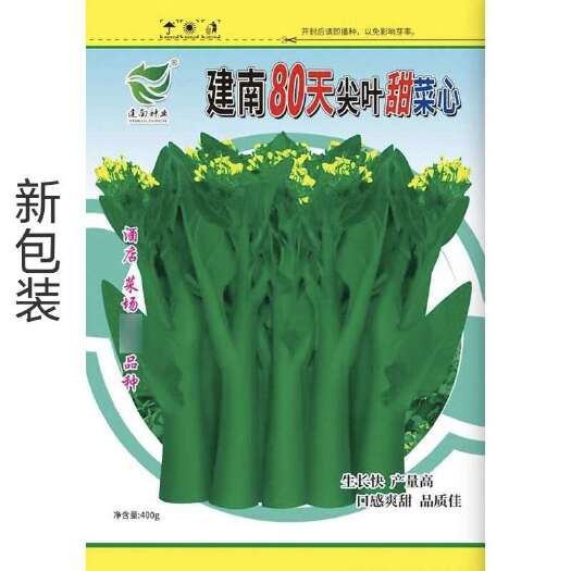 广州甜菜心种子酒店80天尖叶甜菜心种籽迟蔬菜整齐大田菜场专用