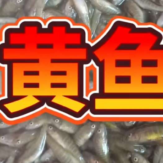 通榆县原产地