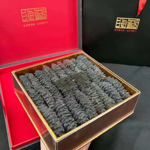 广州海参批发带刺龙纹参一斤装价格不贵高端大气上档次送领导