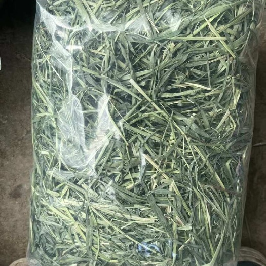 晒干头茬提摩西草甘肃岷县原产地