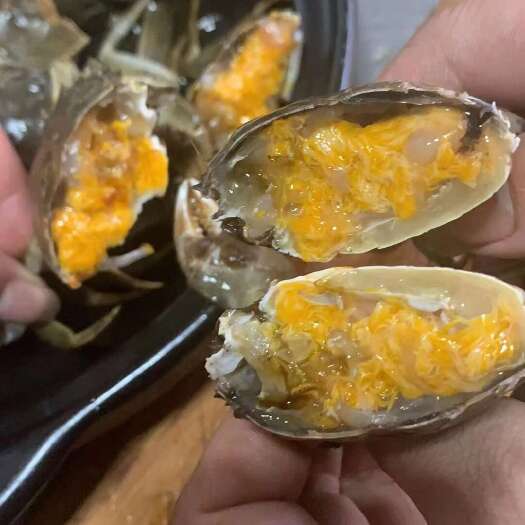 武汉大闸蟹