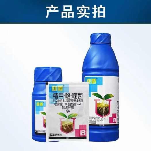 盈辉迎盾11%精甲咯嘧菌酯杀菌剂悬浮种衣剂