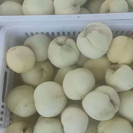威县白肉罐头桃