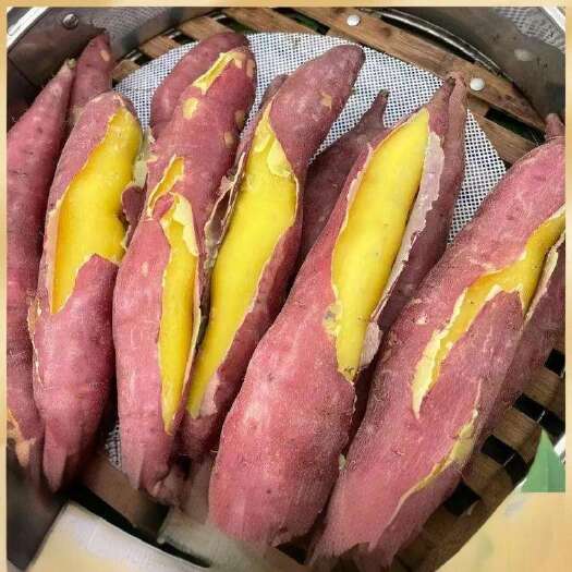 夏津县板栗薯