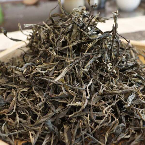 今年头春古树茶250g