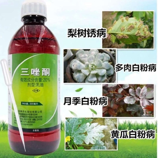 20%三唑酮：厂家直发小麦烟草白粉病锈病杀菌剂
