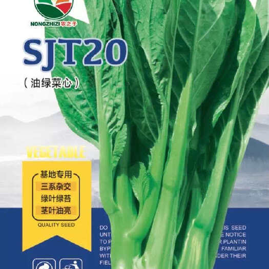 SJT20菜心种子嫩绿甜糯好吃青菜苔早中熟量大抗病