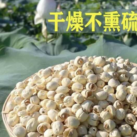 广昌县江西广昌白莲之乡-农户自种通芯白莲个大，通芯，干燥易保存