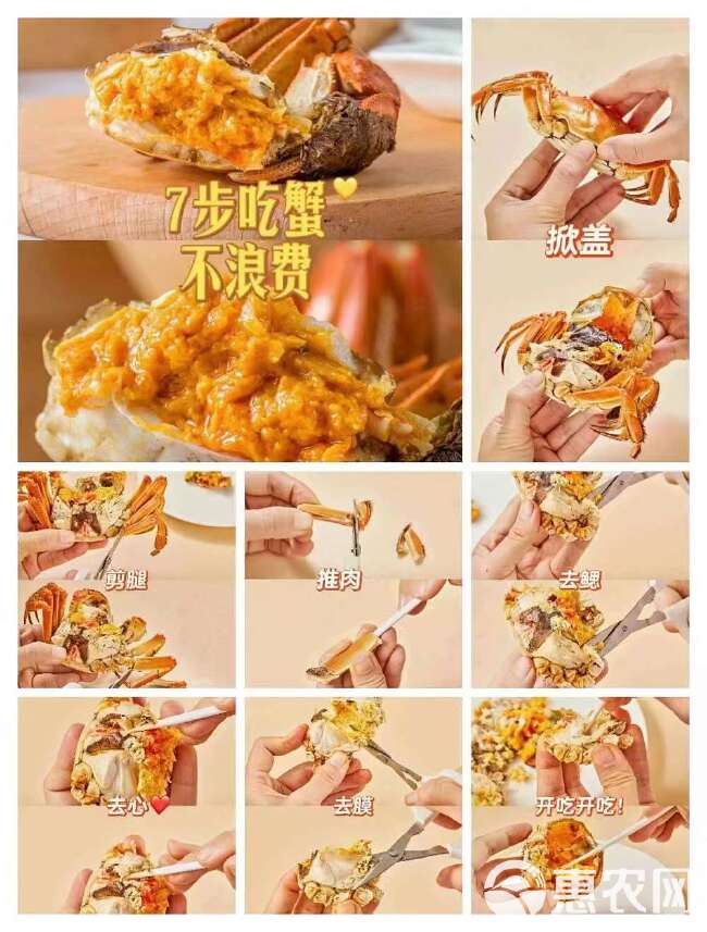 阳澄湖镇大闸蟹（苏霸王品牌直销）中秋送礼佳品