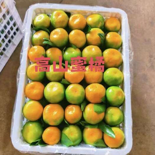 华宁县《精选》云南特早蜜橘 柑桔  普早 早熟