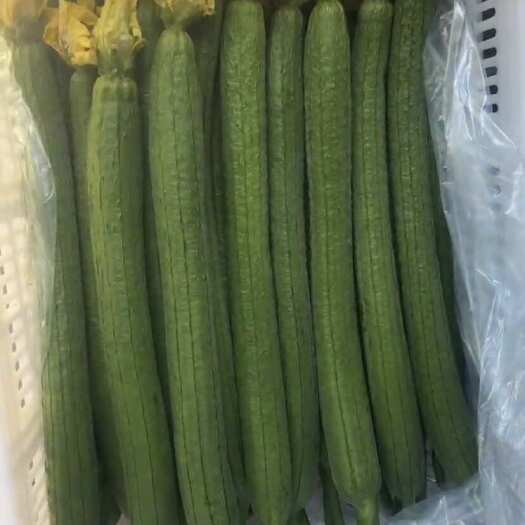 宣城鲜花丝瓜