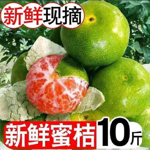 安宁市早熟青皮蜜橘薄皮橘子孕妇新鲜水果酸甜桔子整箱青皮桔子批发