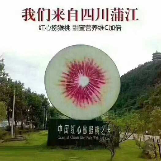 蒲江县蒲江红心猕猴桃