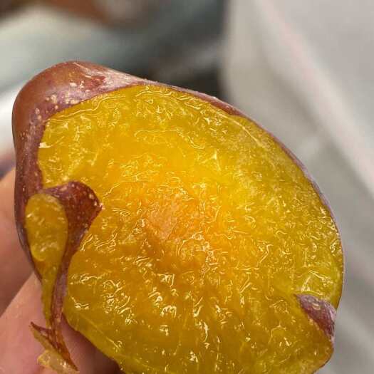 泽普县新疆喀什西梅。新货上市了，大量批发落地配代发一件起发包邮