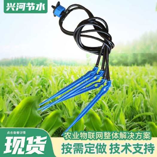 济南一出四滴箭 一出二滴箭