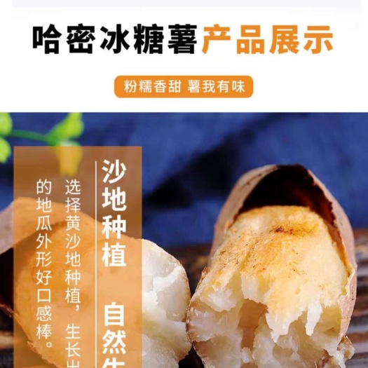 哈密冰糖心红薯口感细腻甜度高白哈密红薯哈密蜜薯