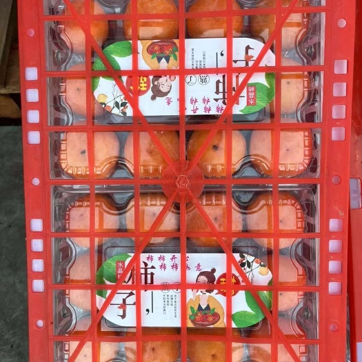 大荔县陕西渭南大荔县七月黄柿子