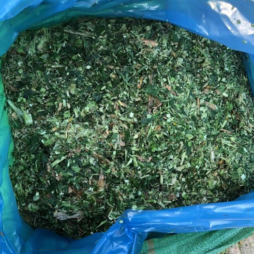 重庆市青储草