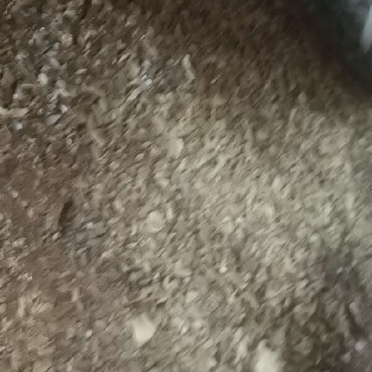 简阳市菜籽油饼  油枯