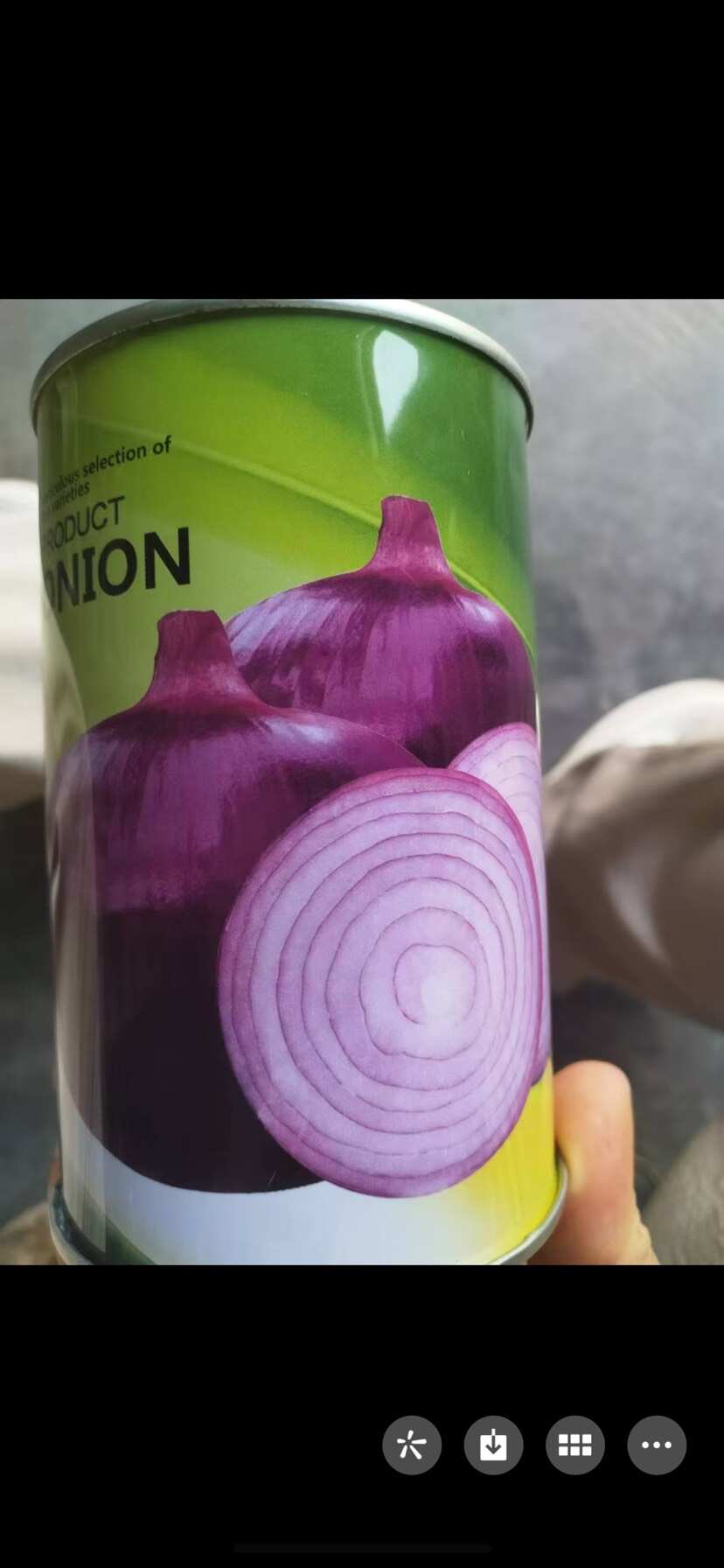 红皮洋葱种子。个头均匀。基地信赖的品种。产量喜人。抗病抗重茬