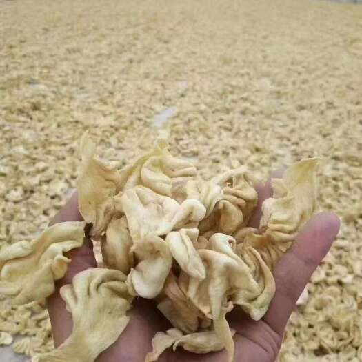 成都豆鱼，豆耳