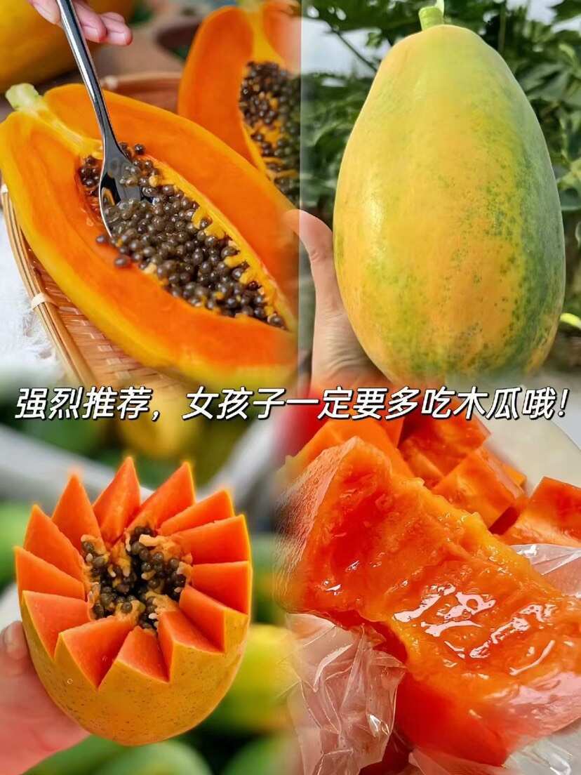 冰糖心木瓜 红心大青木瓜