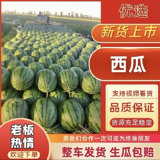西瓜（精品货）