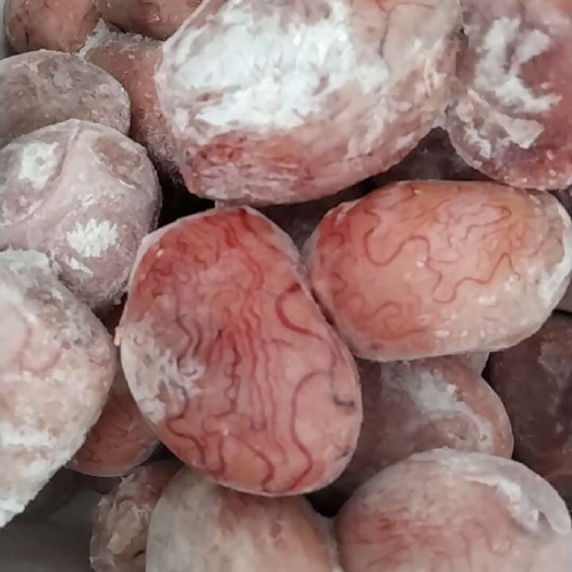 西安精品羊宝
