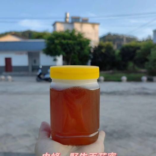 黄龙县土蜂蜜（椴树蜜）