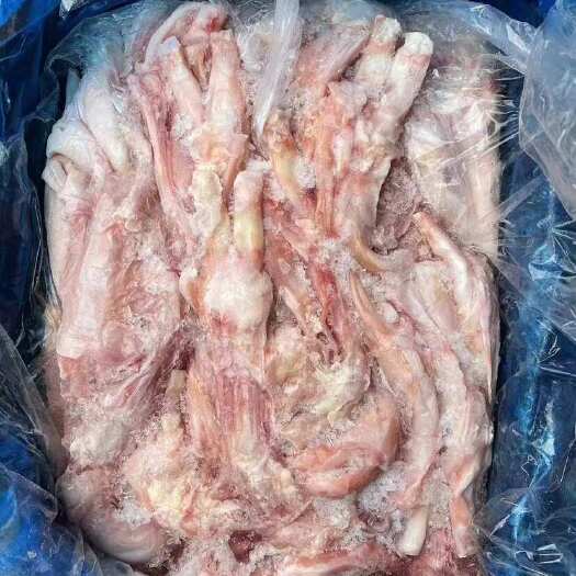 广州牛蹄筋 生制品