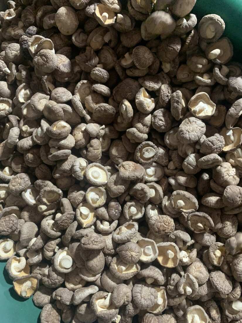 2024新货冬菇 干香菇 去柄香菇 干蘑菇   剪脚香菇