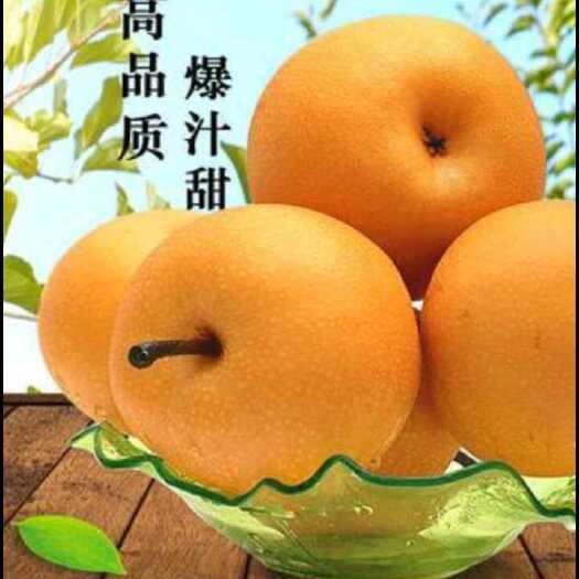冠县秋月梨
