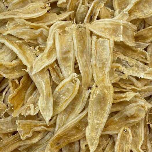 广州鱼胶花胶 双背胶双贝胶大多规格批发
