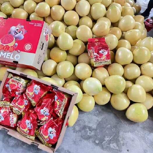 福建平和红心蜜柚