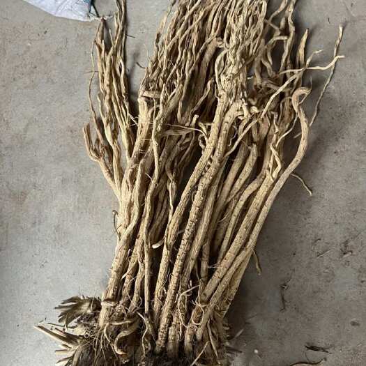 陇西县甘肃定西陇西县产中药材防风根茎类药材支持快递整车发货按需包装