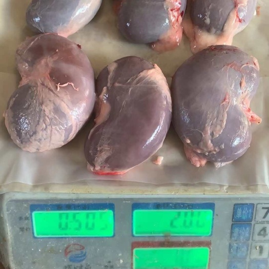 羊净腰