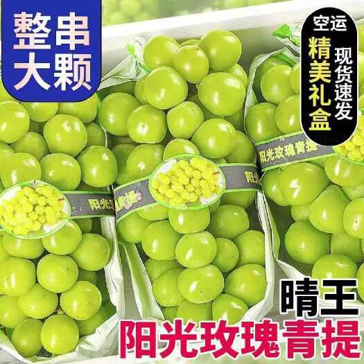 大荔县阳光玫瑰葡萄新鲜应季孕妇水果现摘晴王提子香印青提批发包邮无籽